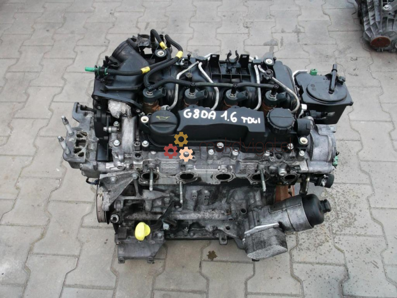 Двигатели c max. Двигатель Форд c- Max g8da. Двигатель Форд 1,6 дизель. Двигатель (ДВС) Ford c Max 1,6 g8da дизель. Двигатель 1.6 дизель Форд фокус 2.